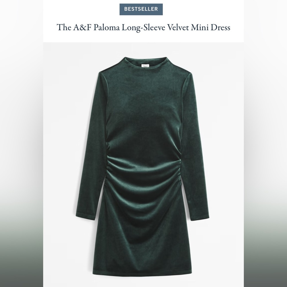 A&F Paloma long sleeve velvet dress